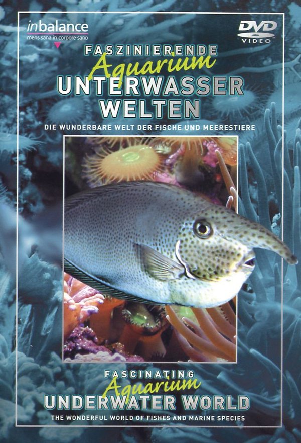 Faszinierende Aquarium Unterwasserwelten