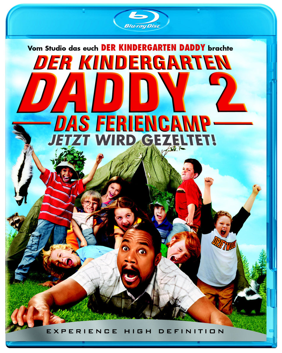 Der Kindergarten Daddy 2 - Das Feriencamp