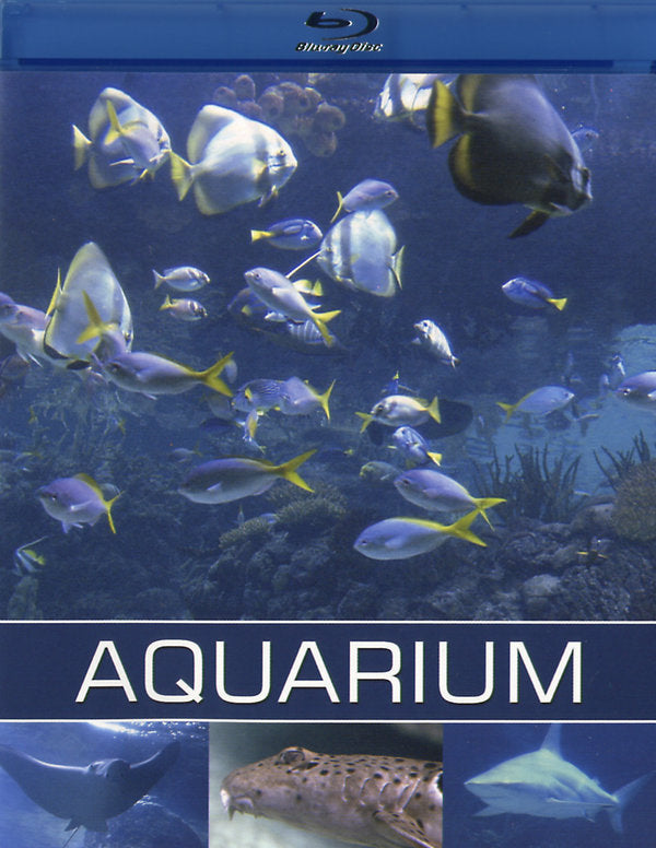 Aquarium