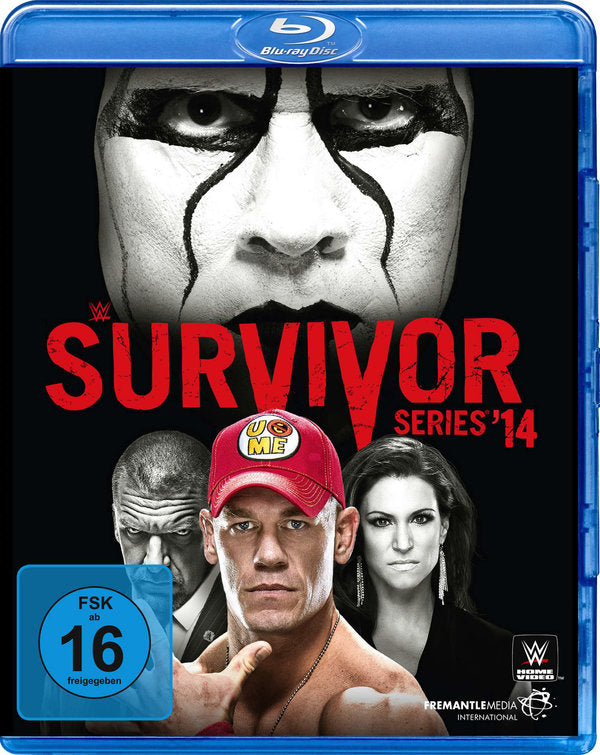 Survivor Series 2014