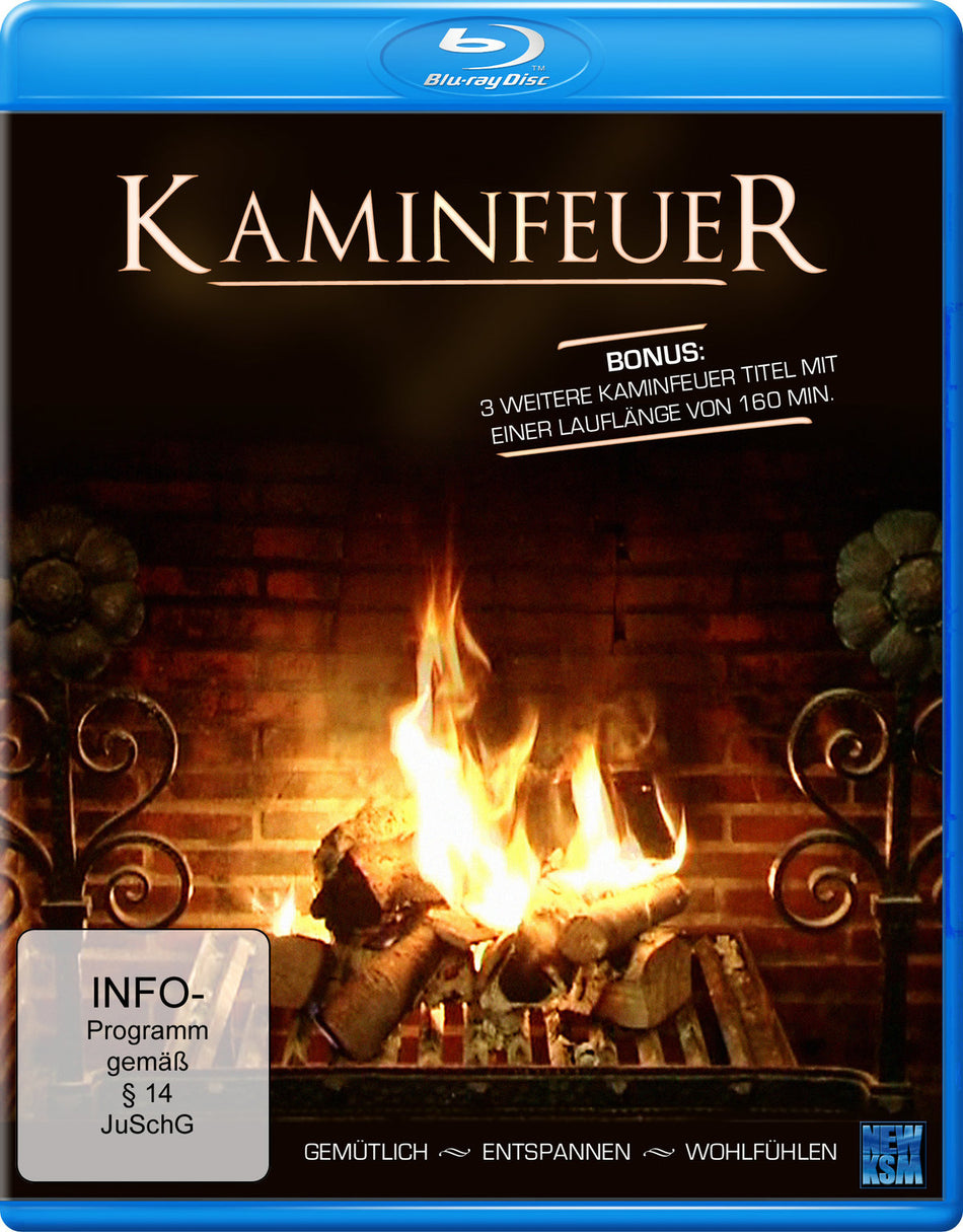 Kaminfeuer 2013