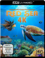 Red Sea