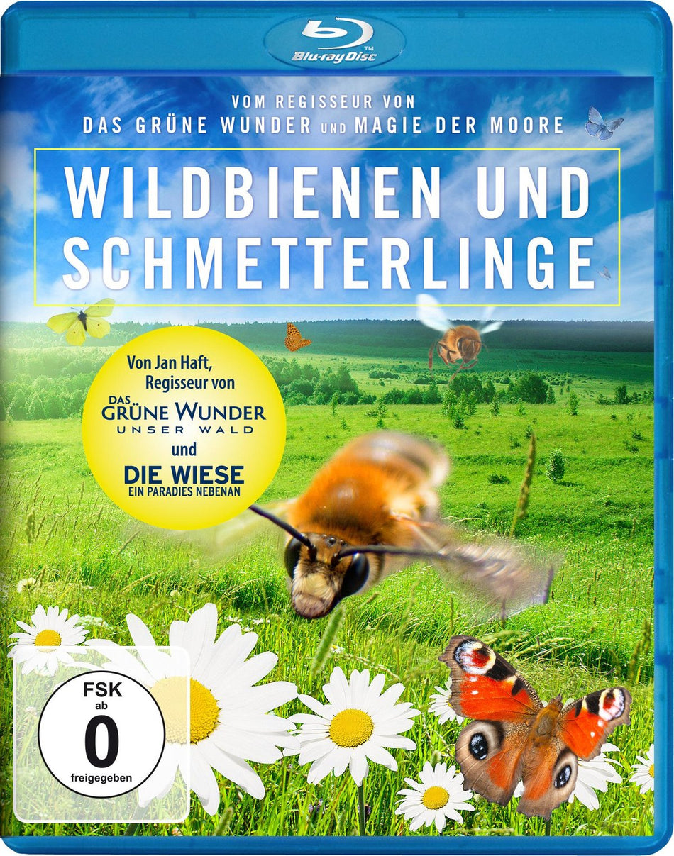Wildbienen und Schmetterlinge