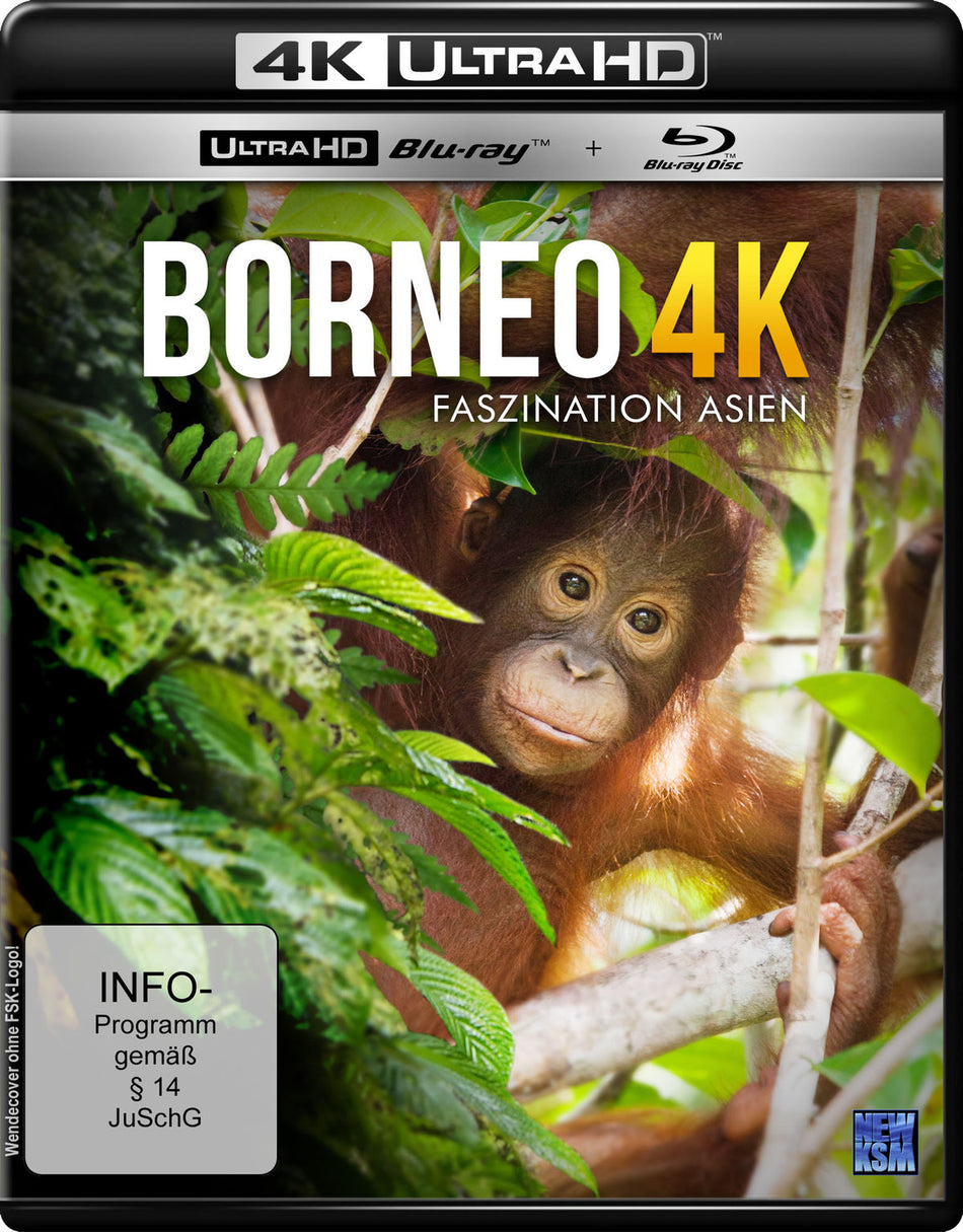 Borneo - Faszination Asien  (+ BR)