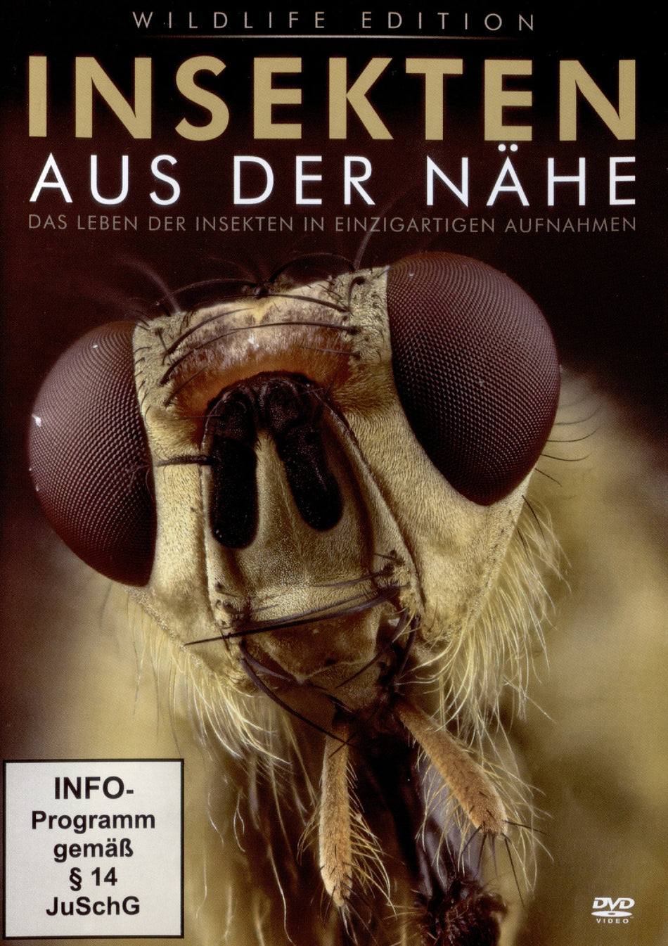 Insekten aus der Nähe [DVD]